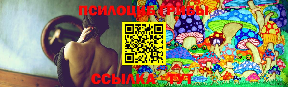 Выкса  что такое наркотик  Псилоцибиновые грибы GOLDEN TEACHER  Вход с VPN  Галлюциногенные грибы Psilocybe 