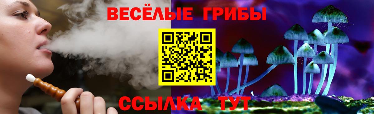 Галлюциногенные грибы мицелий Выкса